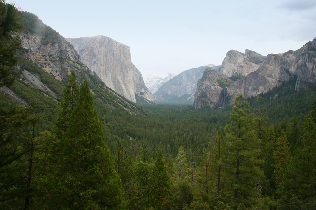 IMG_050.JPG - Yosemite Valley, Yosemite National Park