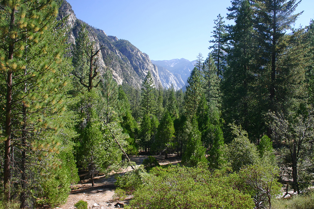 IMG_056.JPG - Kings Canyon National Park