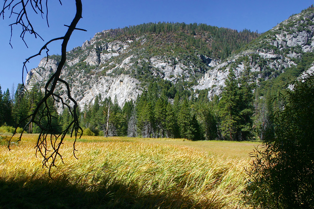 IMG_060.JPG - Kings Canyon National Park