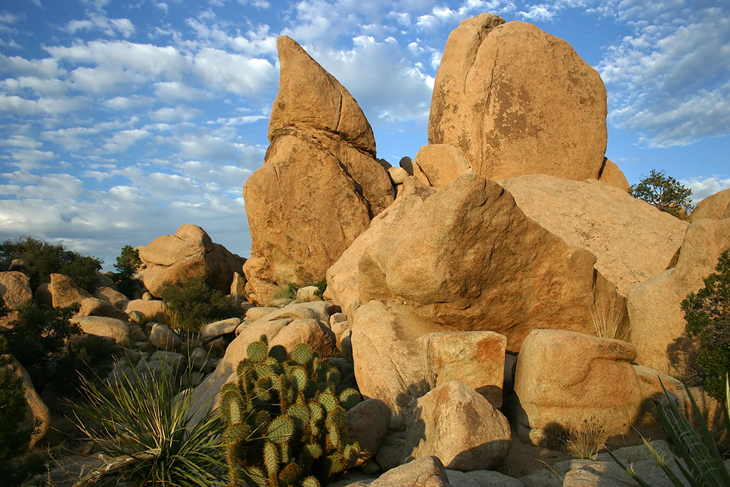 IMG_161.JPG - Hidden Valley, Joshua Tree National Park