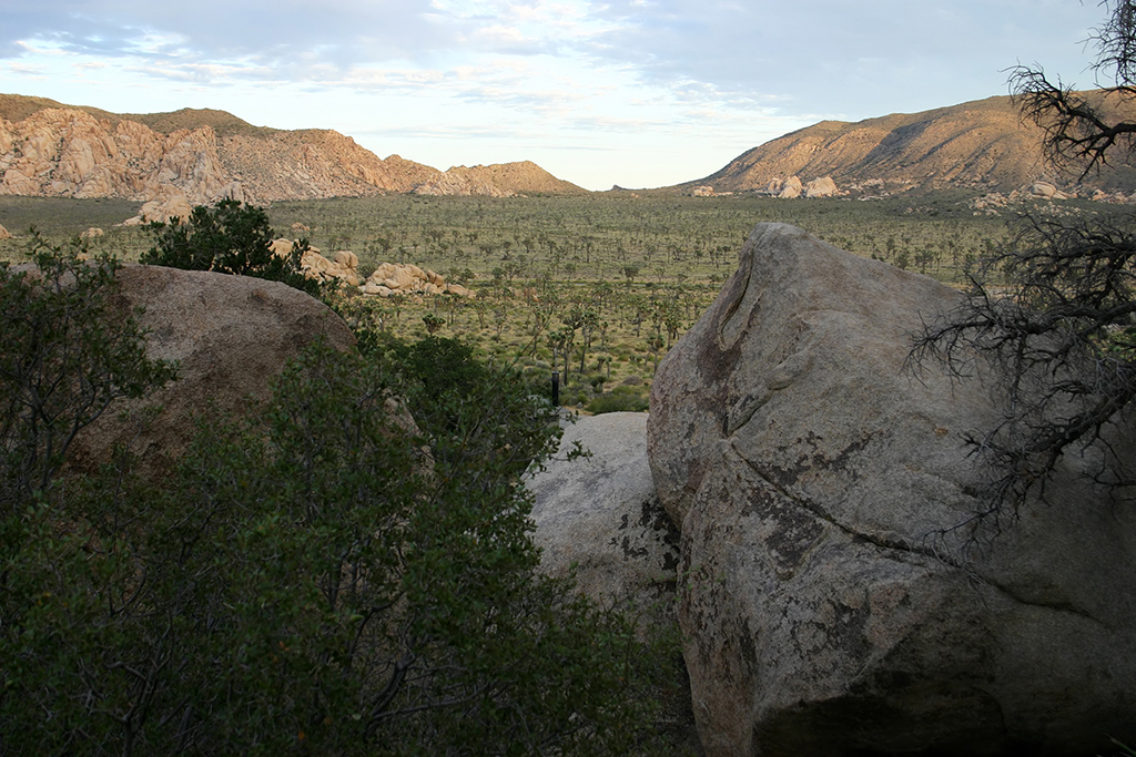 IMG_164.JPG - Joshua Tree National Park