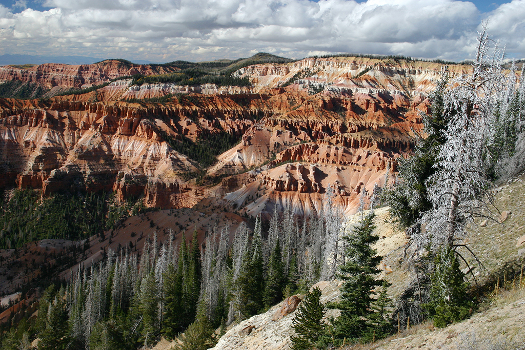 IMG_183.JPG - Cedar Breaks National Monument