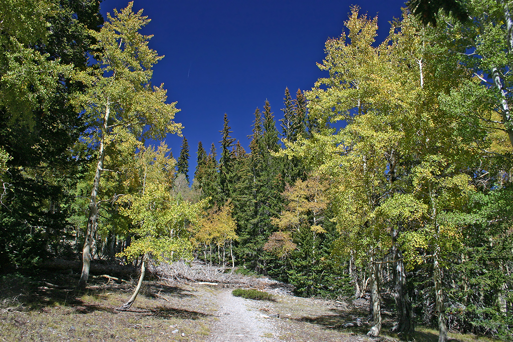 IMG_1058.JPG - Great Basin National Park