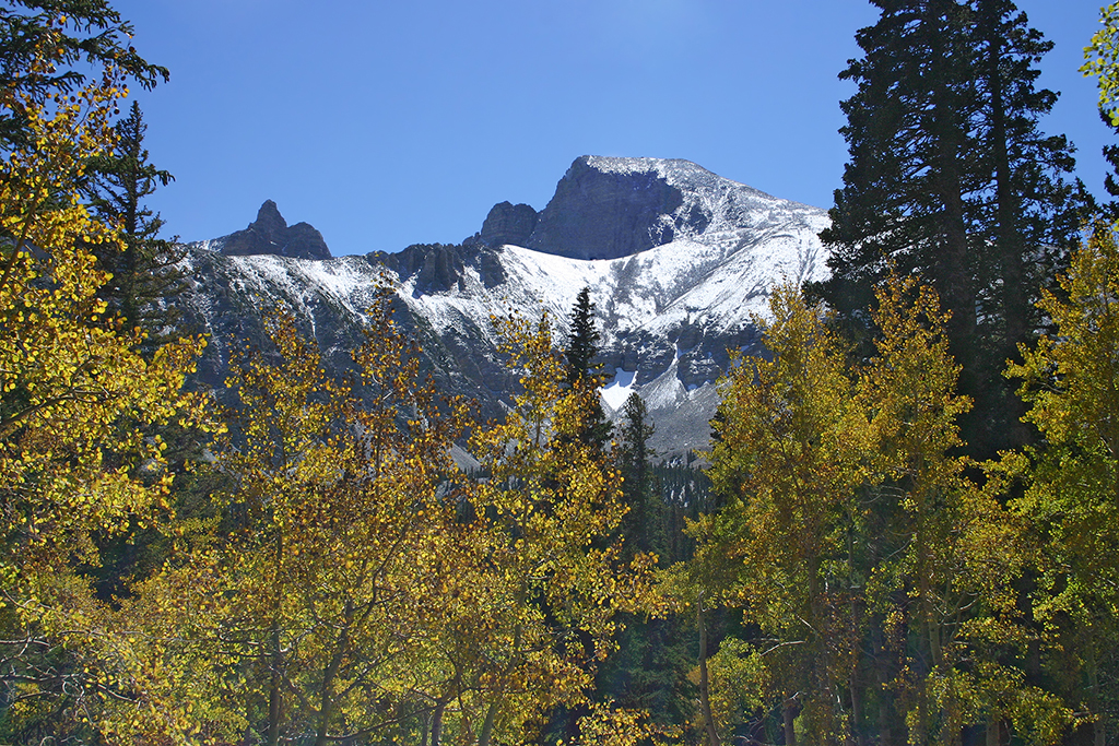 IMG_1060.JPG - Great Basin National Park