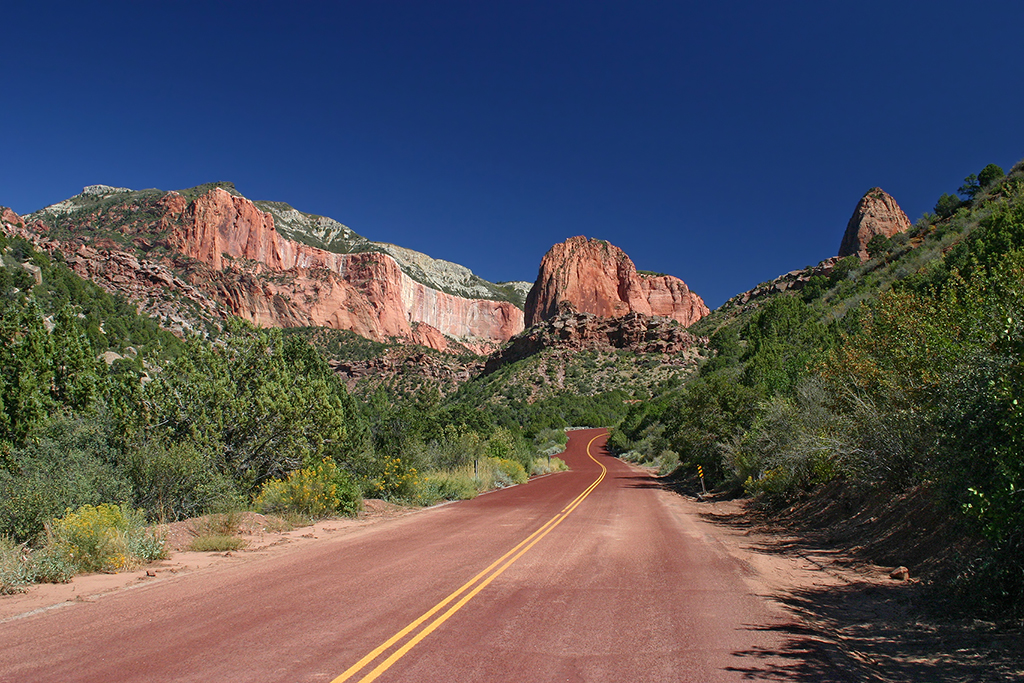 IMG_1181.JPG - Zion National Park