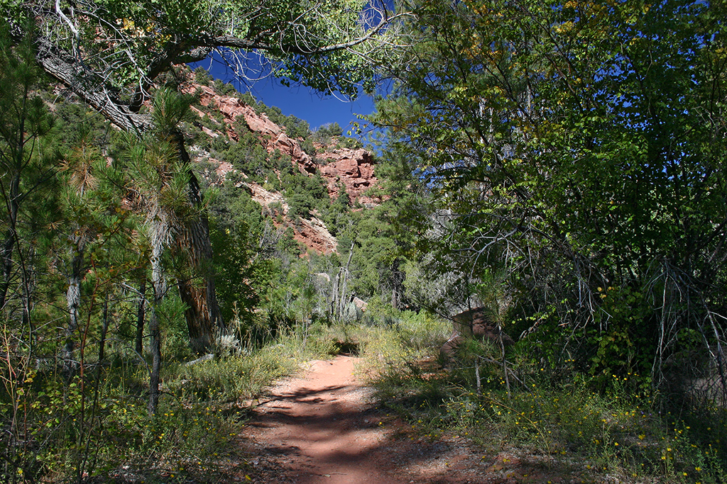 IMG_1249.JPG - Zion National Park