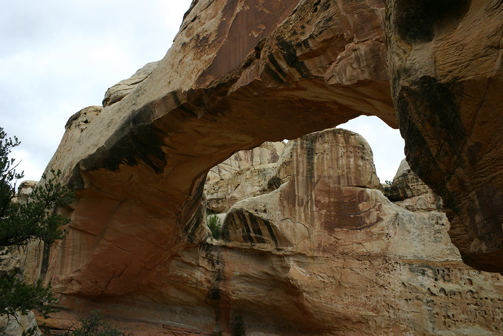 IMG_1864.JPG - Capitol Reef National Park