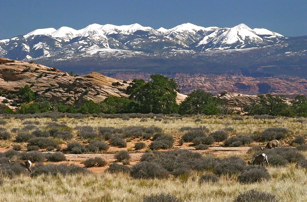 IMG_2454.JPG - Canyonlands National Park