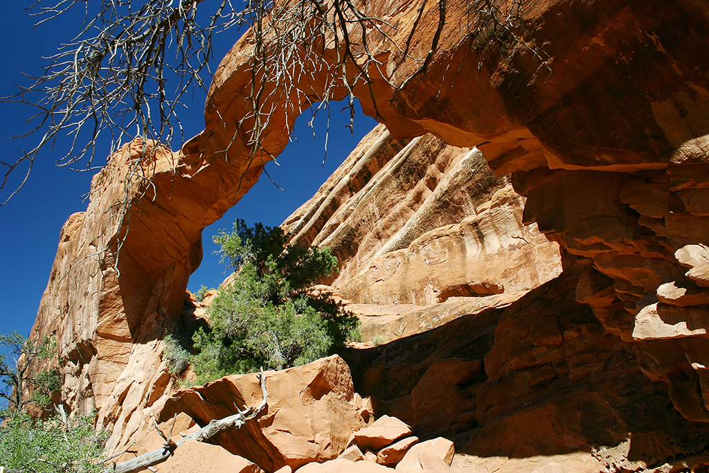 IMG_2670.JPG - Arches National Park