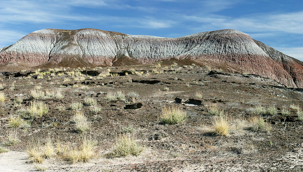 IMG_3424.JPG - Petrified Forest National Park