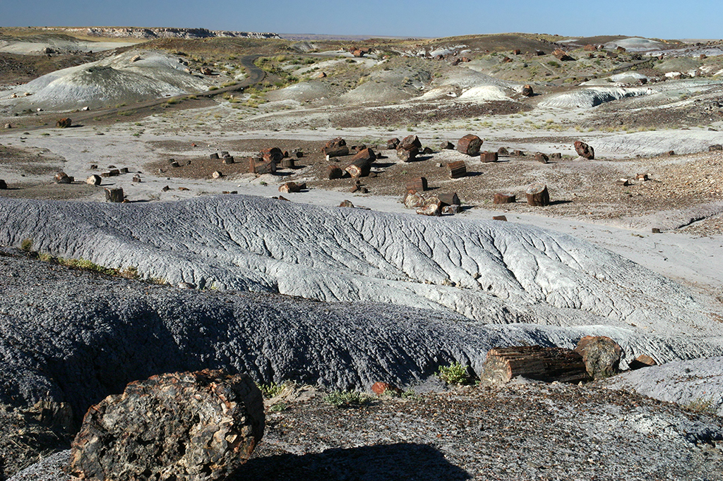 IMG_3446.JPG - Petrified Forest National Park