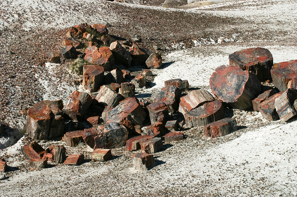 IMG_3453.JPG - Petrified Forest National Park