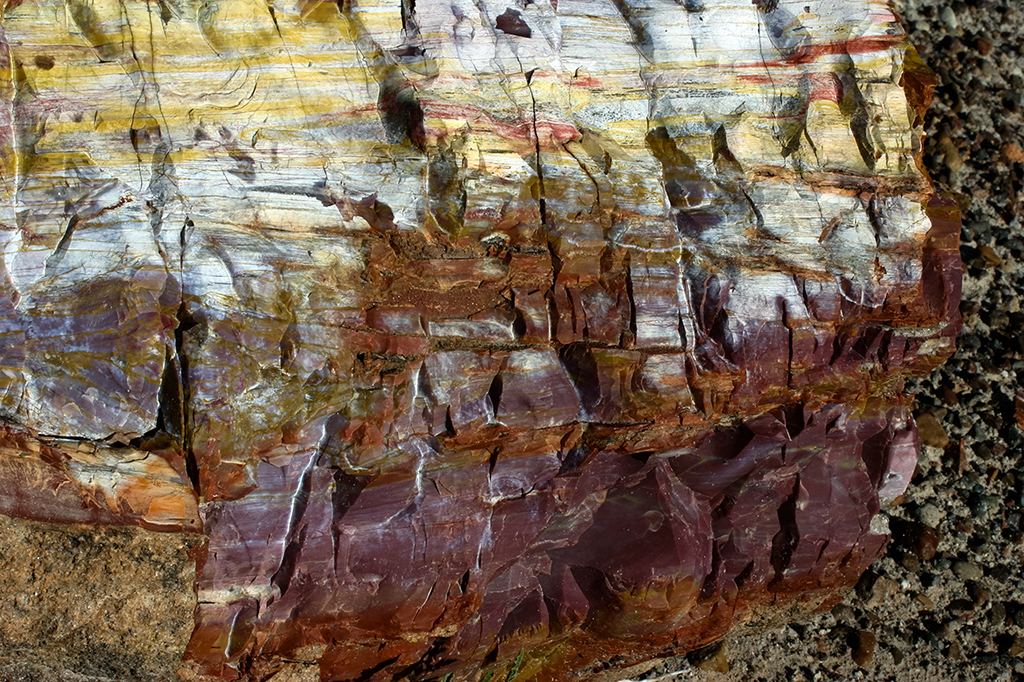 IMG_3455.JPG - Petrified Forest National Park