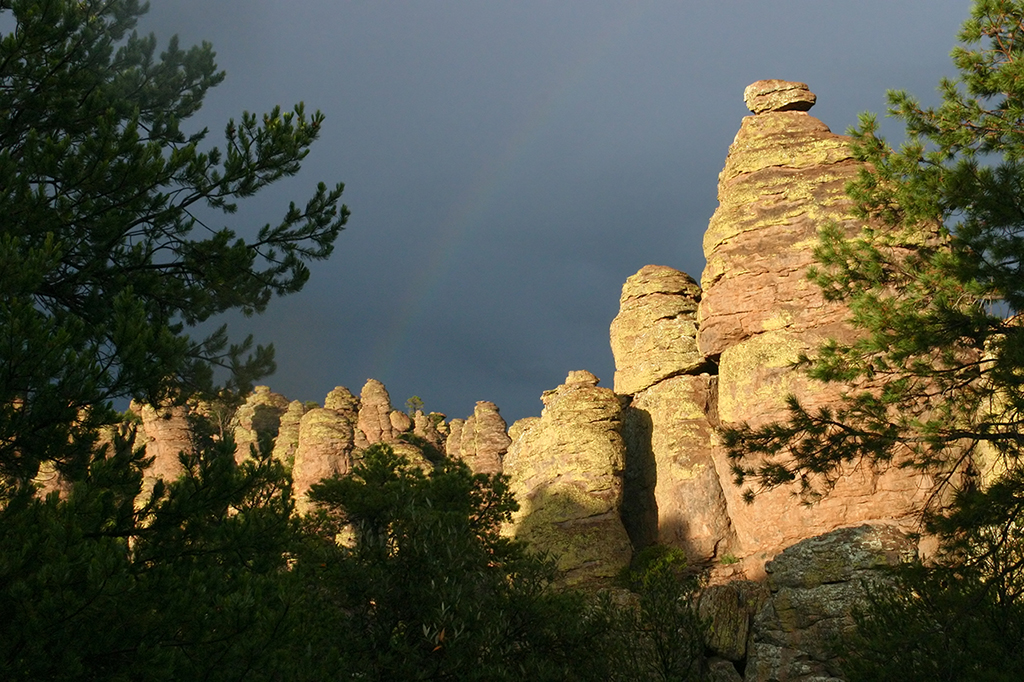 IMG_4222.JPG - Chiricahua National Monument