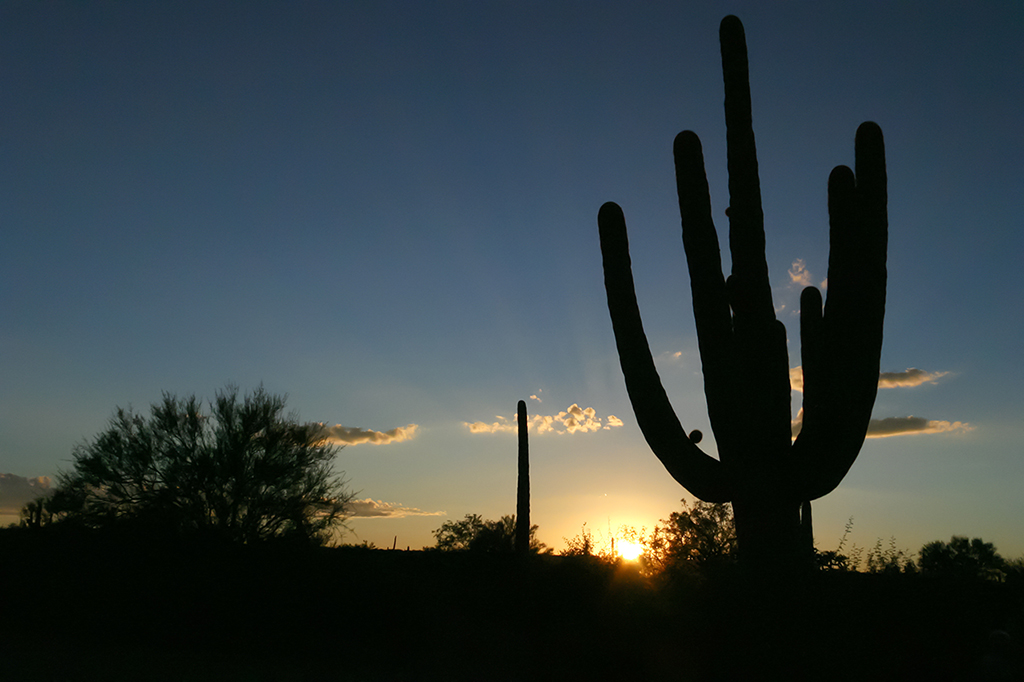 IMG_4360.JPG - Saguaro National Park