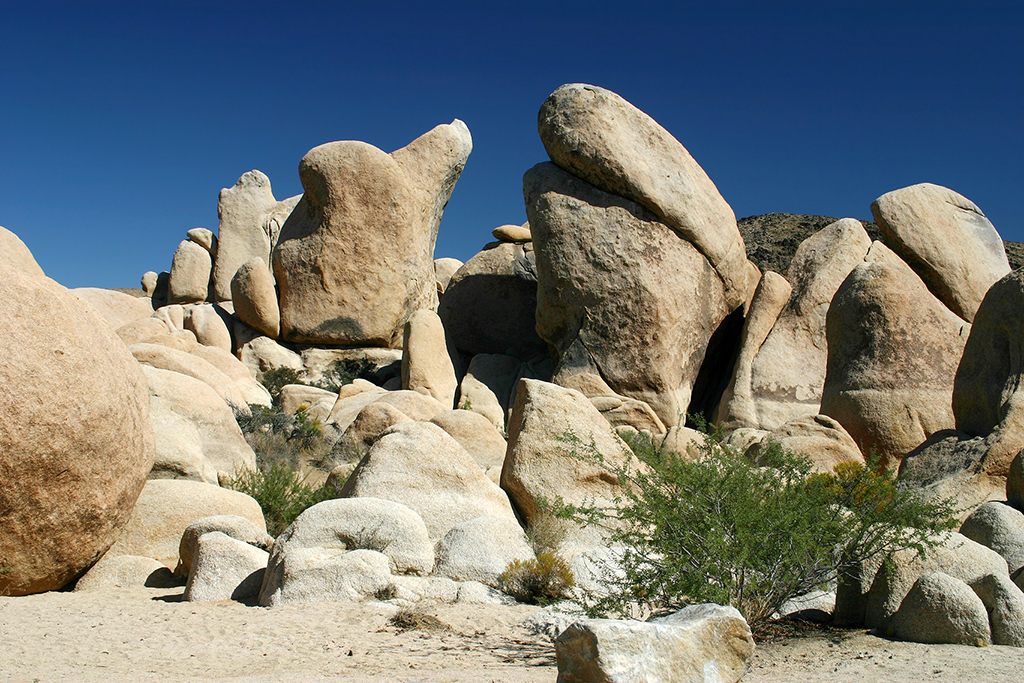 IMG_5028.JPG - Joshua Tree National Park