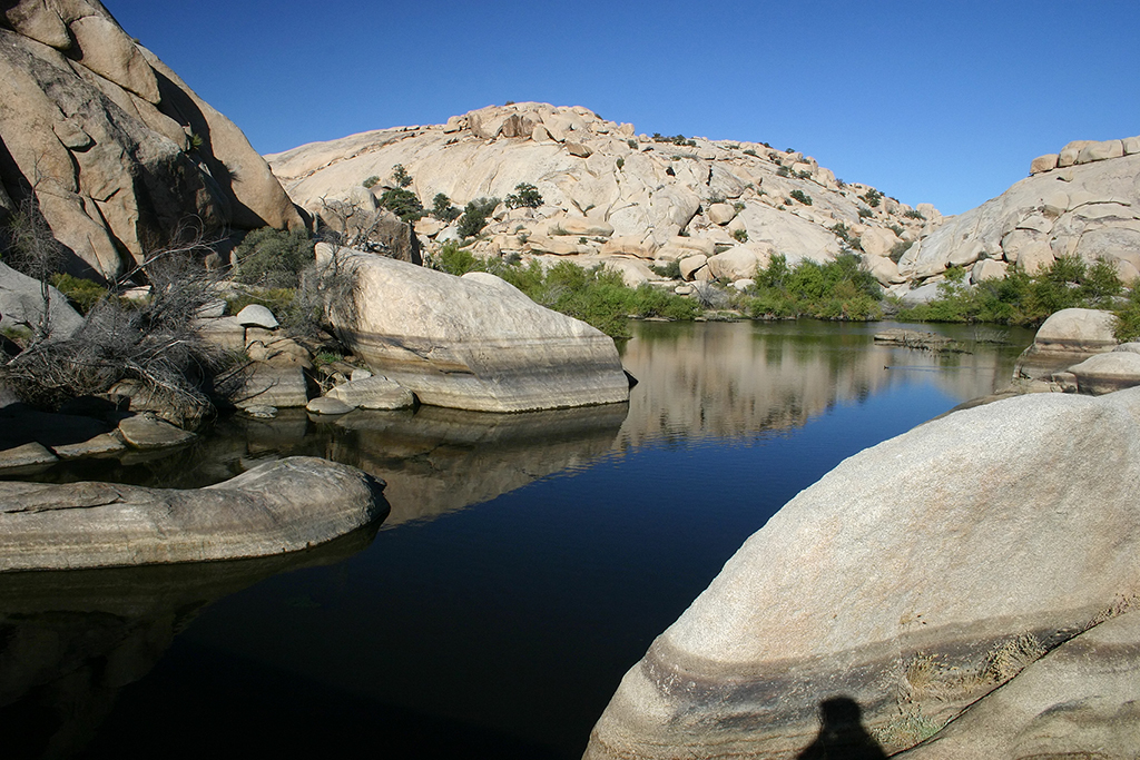 IMG_5085.JPG - Joshua Tree National Park