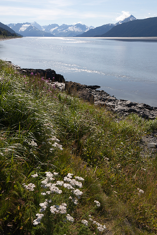 IMG_036.jpg - auf dem Seward Highway