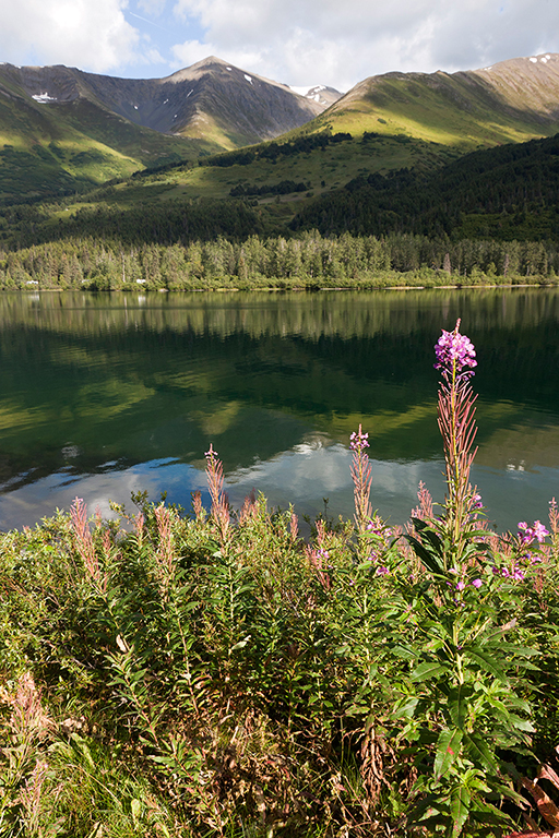 IMG_053.jpg - Summit Lake