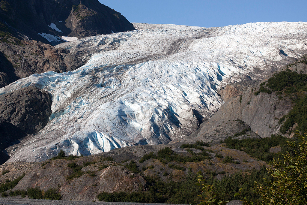 IMG_090.jpg - Exit Glacier und Harding Icefield, Kenai Fjords Nationalpark