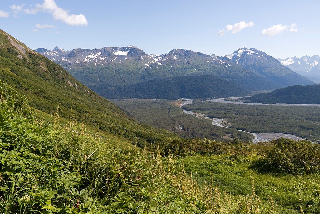 IMG_097.jpg - Exit Glacier und Harding Icefield, Kenai Fjords Nationalpark