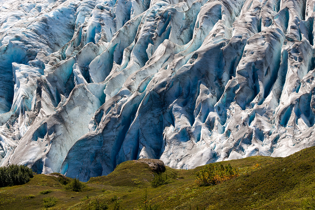 IMG_102.jpg - Exit Glacier und Harding Icefield, Kenai Fjords Nationalpark