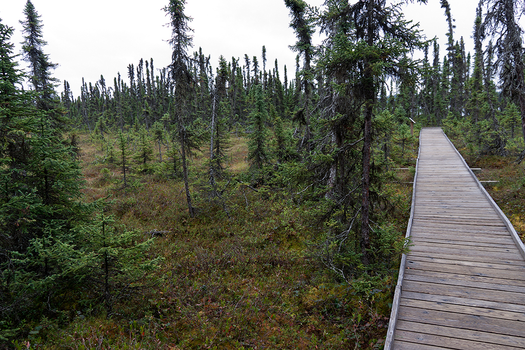 IMG_131.jpg - Kenai National Wildlife Refuge