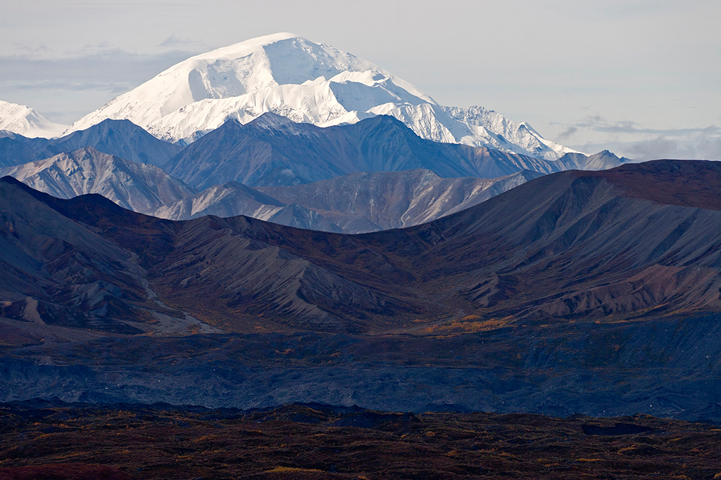 IMG_165.jpg - Denali National Park