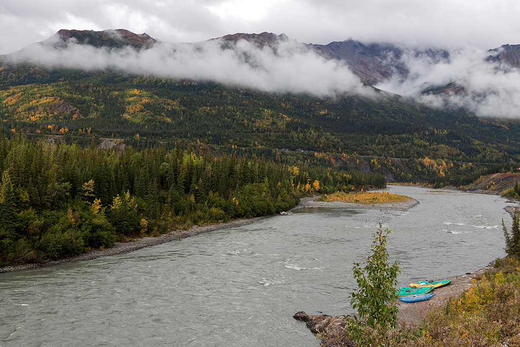 IMG_175.jpg - Denali National Park