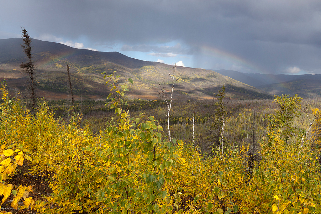 IMG_191.jpg - Chena River State Recreation Area