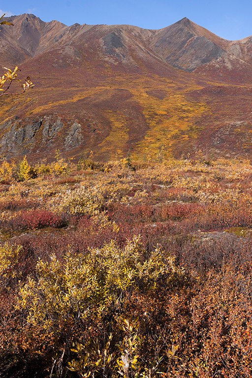 IMG_245.jpg - Tombstone Territorial Park, Yukon