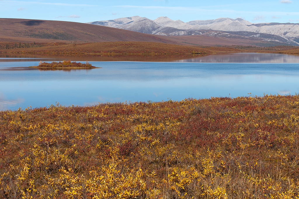 IMG_251.jpg - Chapman Lake