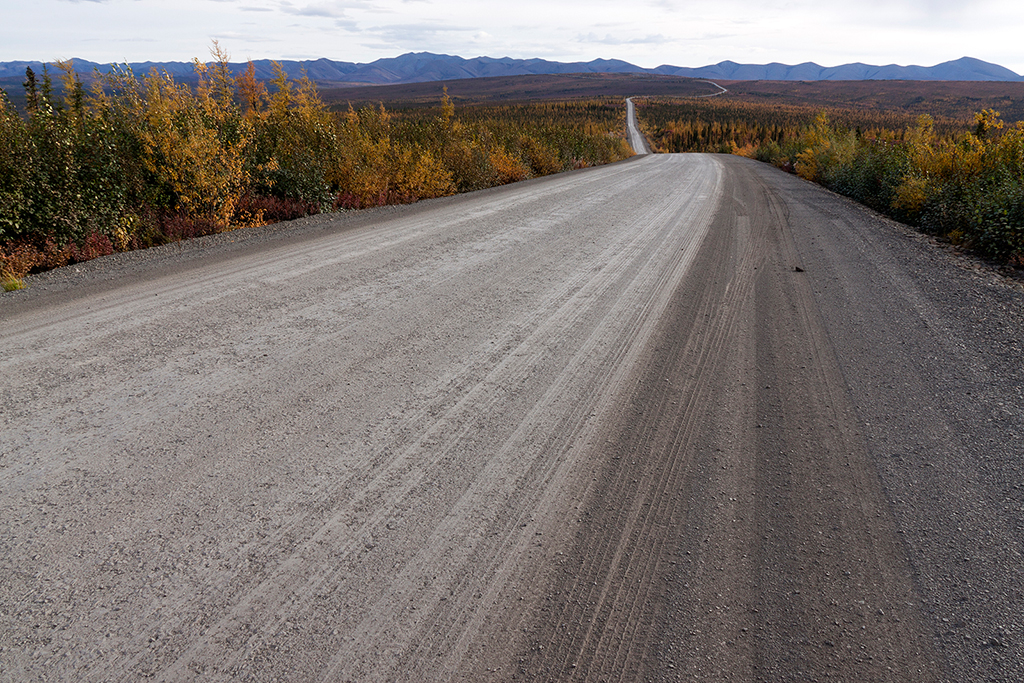 IMG_258.jpg - Dempster Highway