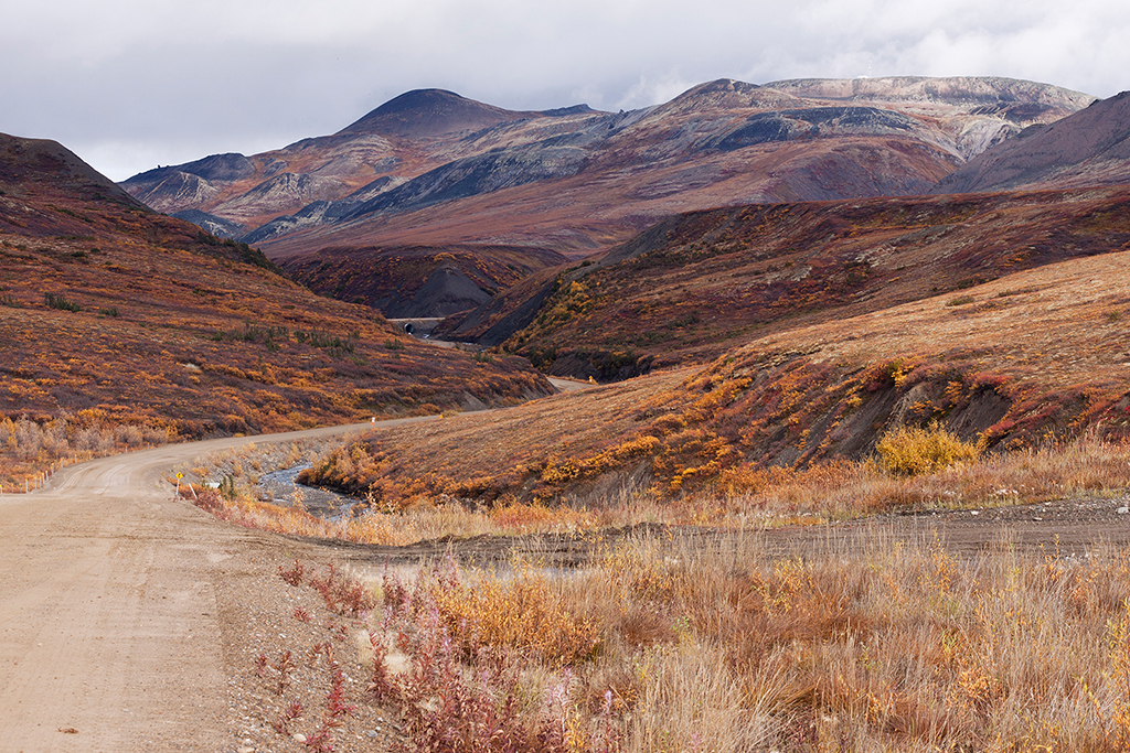 IMG_284.jpg - Dempster Highway