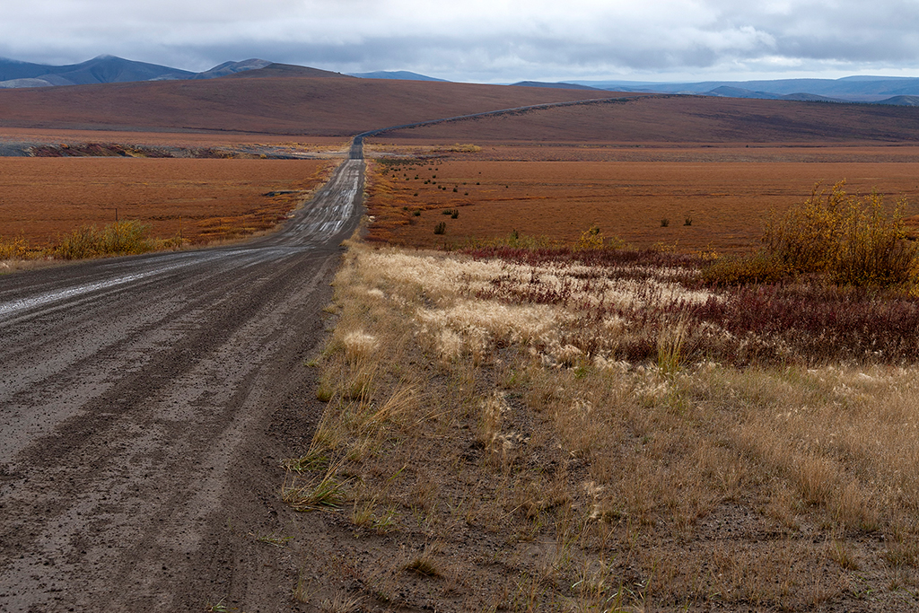 IMG_287.jpg - Dempster Highway