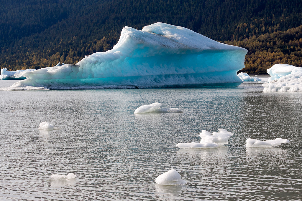 IMG_379.jpg - Mendenhall Glacier at Juneau