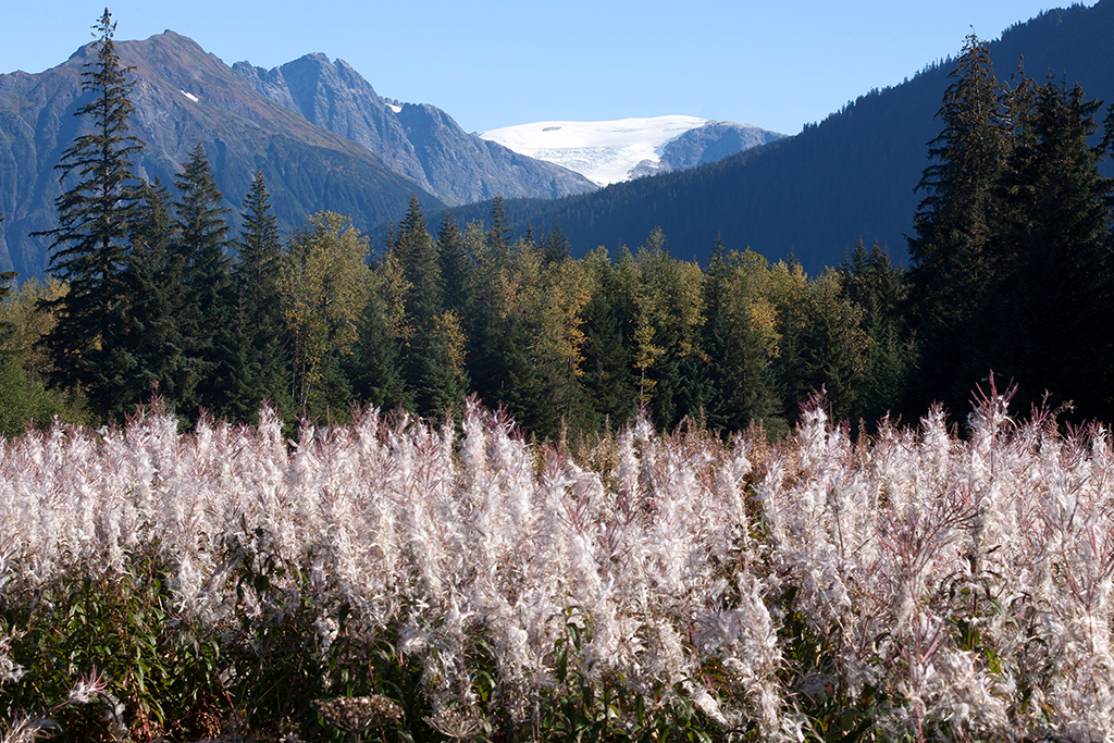 IMG_389.jpg - Mendenhall Lake und -Glacier