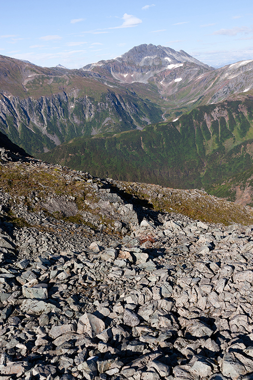 IMG_401.jpg - Mount Roberts at Juneau