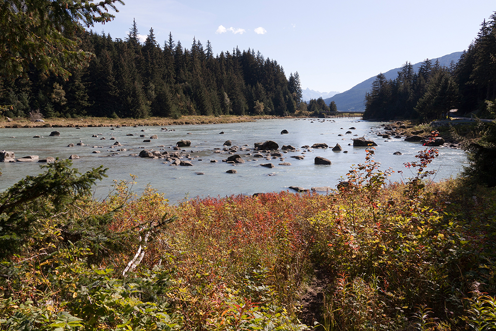 IMG_418.jpg - Chilkoot Inlet