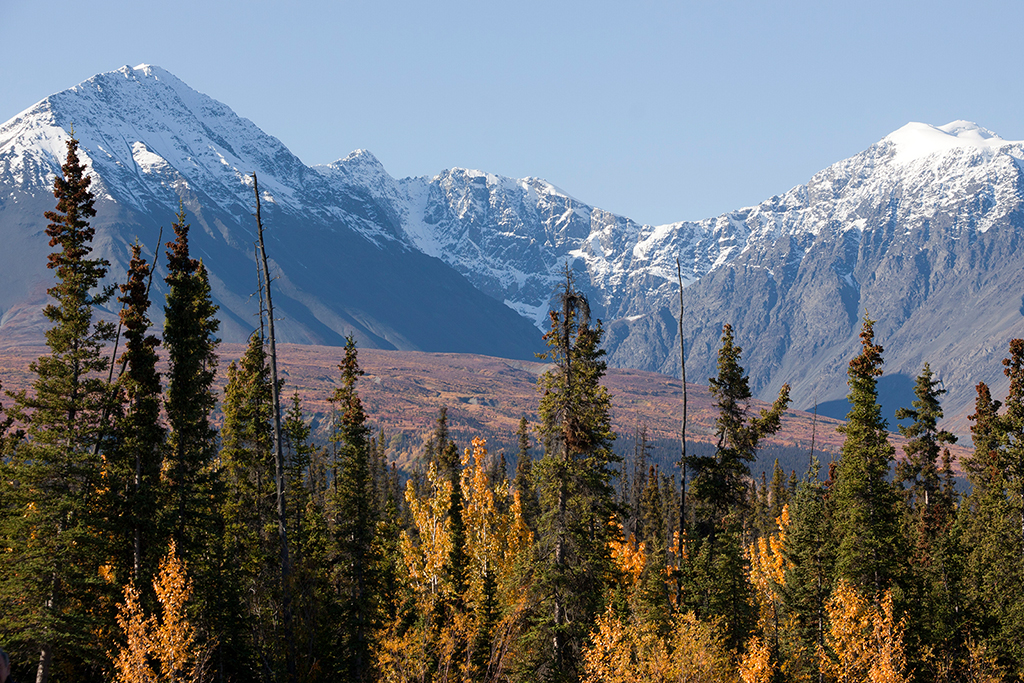 IMG_457.jpg - Kluane National Park