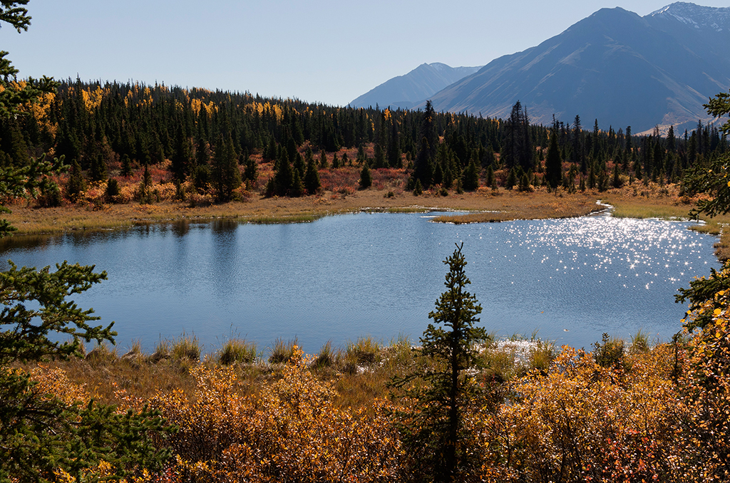 IMG_460.jpg - Kluane National Park