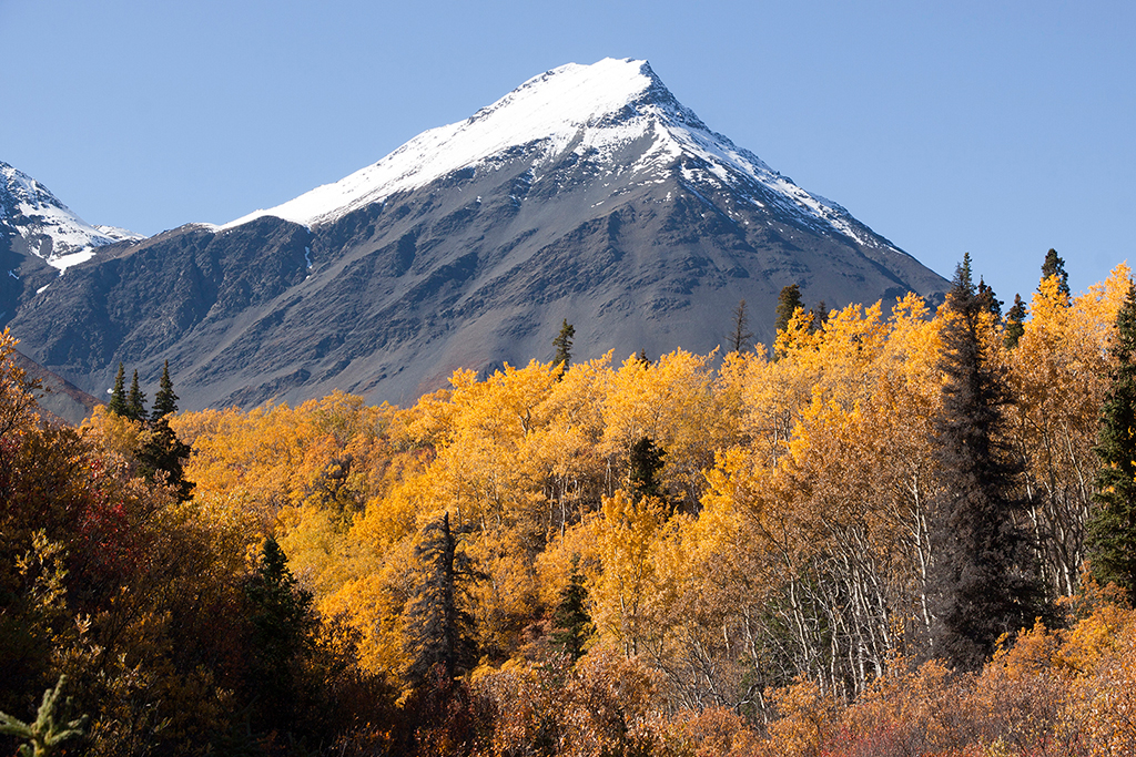 IMG_462.jpg - Kluane National Park