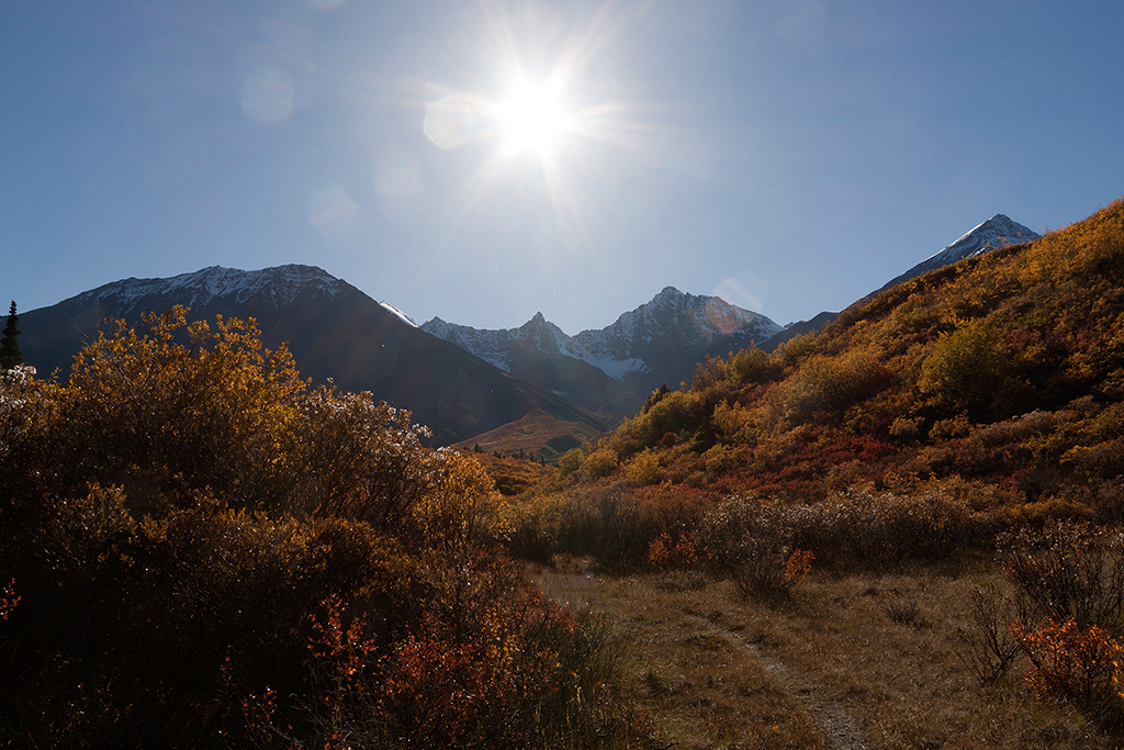 IMG_466.jpg - Kluane National Park