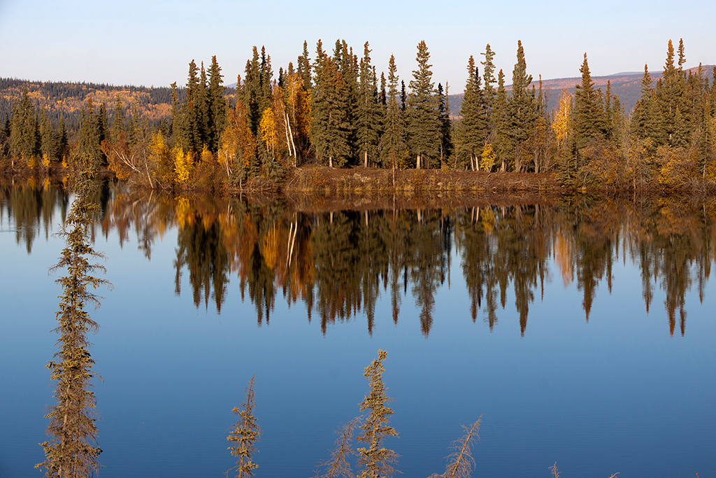 IMG_493.jpg - Tetlin Lake