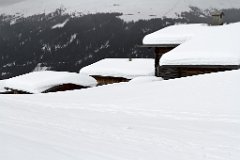 Davos_28