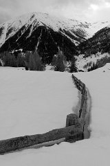 Davos_32