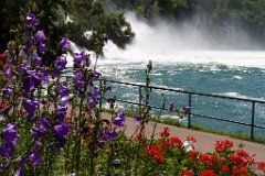 Rheinfall_08