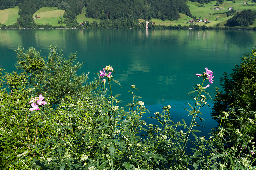 Schluchten_02.jpg - am Lungernsee