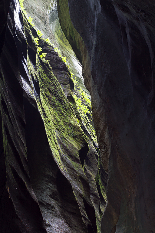 Schluchten_25.jpg - Aareschlucht