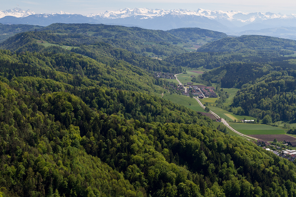 Üetliberg_09.jpg